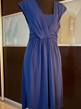 BCBG Paris Draped Dress